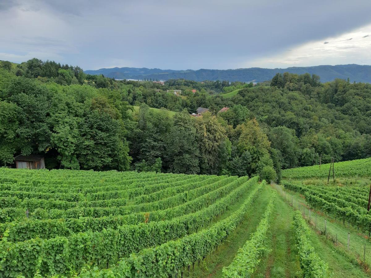 Ferienhaus Urschitz Eichberg Bagian luar foto